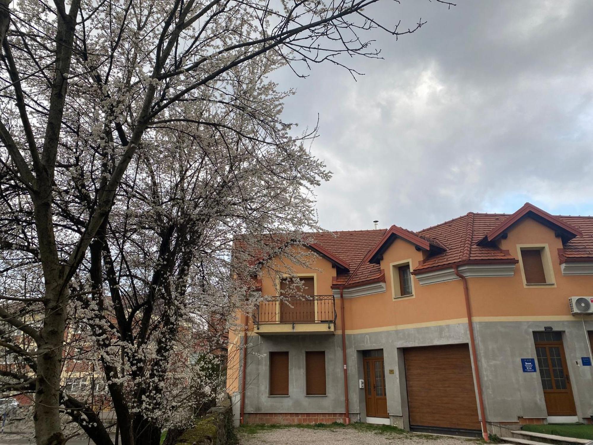 Apartman Galerija Огулин Екстериор снимка